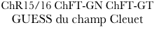 ChR15/16 ChFT-GN ChFT-GT &#10;GUESS du champ Cleuet