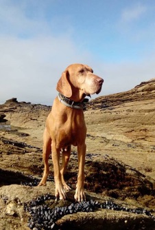 Cr&amp;eacute;&amp;eacute; sur un Mac